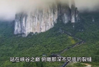 ​说说心情搞笑短语2025年80句