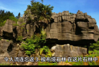 ​感觉生命很脆弱的说说