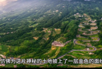 ​努力工作奋斗的励志说说 努力奋斗赚钱的励志说说