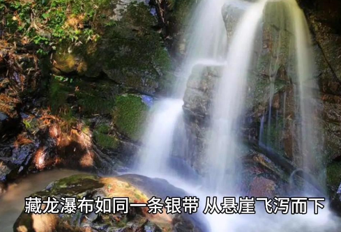 1756719465117988.png image.png