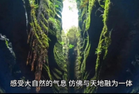 ​关于喝酒后的伤感说说 女人喝酒哭的图片伤感