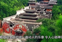 ​背井离乡不容易的说说