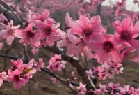 ​心情急躁的说说 压力大心情烦闷的句子