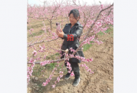 ​这个社会很现实的说说 人生感悟的说说