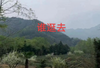 ​女人靠自己的霸气说说 女人要强大自己的说说