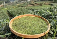 ​五月再见六月你好的文案说说