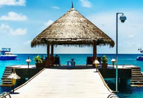 1756726915608899.png image.png