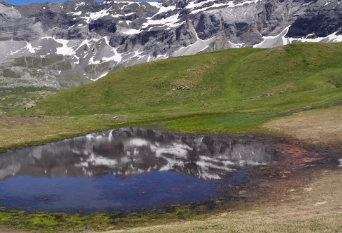 1756727913772291.png image.png