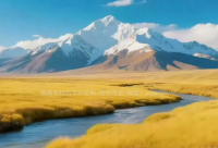 ​享受惬意时光的说说