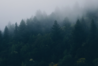 ​中秋节形容月亮的说说句子