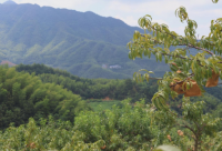 ​经典性空间说说82句