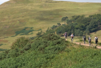 ​文案伤感发说说