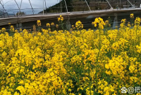 ​2025年生病打点滴的说说