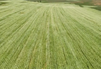 ​快手说说句子热门伤感2025