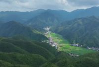 ​社会职场最现实的话 职场说说很现实的说说