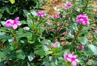 ​2025年心情说说88句