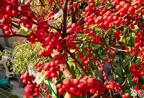 1756730409985642.png image.png