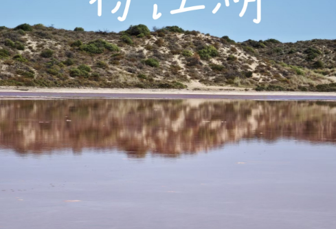 1756730908816226.png image.png