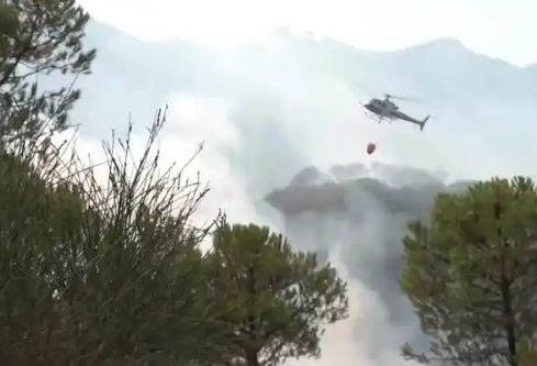 1756731407585232.png image.png