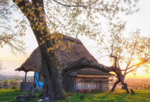 1756732406115338.png image.png