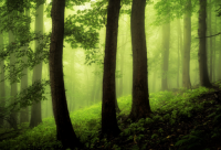 ​对男生说的甜言蜜语的句子