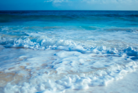 ​网络经典说说词句