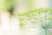 ​快疯了心情崩溃的说说