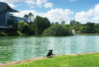 ​单身性说说霸气83句