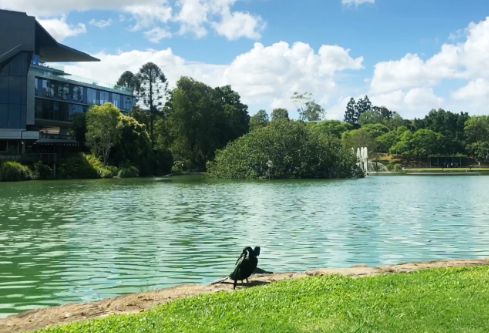 1756733735441807.png image.png