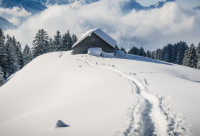 ​毕业伤感说说句子