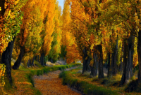 ​90后说说大全120句