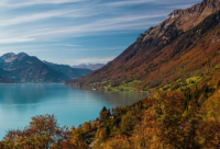 ​爱情伤感说说84句