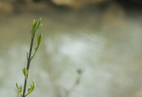 ​属于胖女孩的说说 2025年胖女孩发的可爱说说