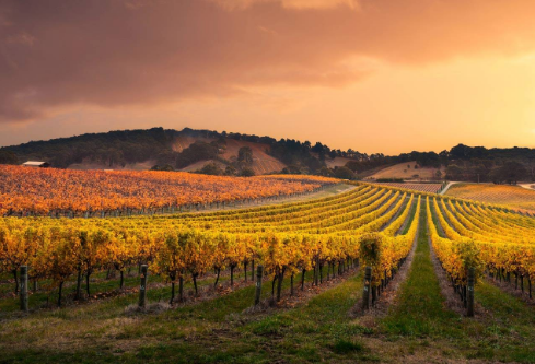 1756738229494004.png image.png