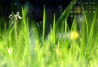 ​各种心情描写的说说好句子