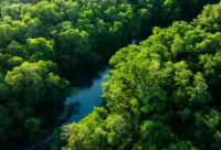 ​累的腰疼的说说心情