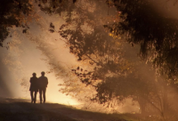 ​木制品公司起名大全