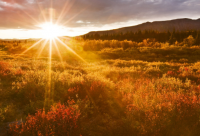 ​微信店铺起名大全