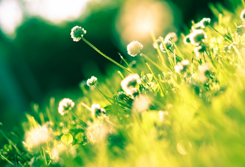 1757583202703139.png image.png