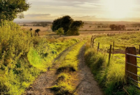 ​好听独特的奶茶店名字