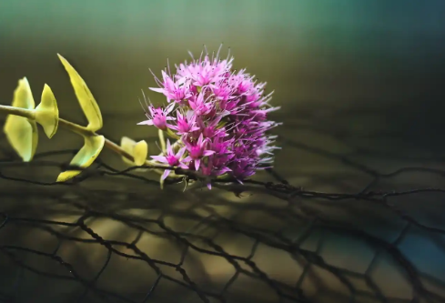 1757584031122227.png image.png