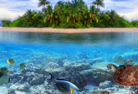 ​有内涵的日本料理店名