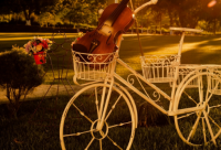 ​食品贸易公司取名大全