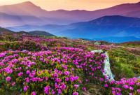 ​展览服务公司起名