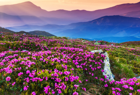 1757584866196267.png image.png