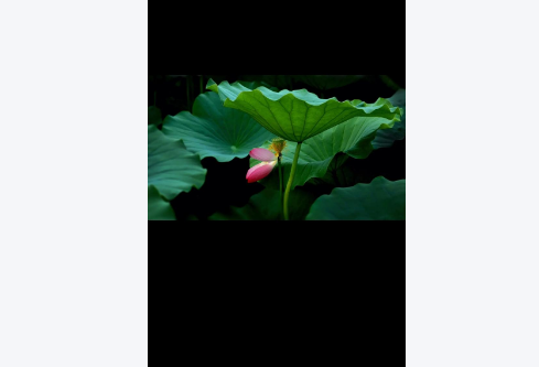 1757586034109972.png image.png