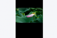 ​财务公司名字大全