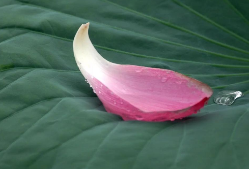 1757586703348170.png image.png