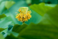 ​装饰公司起名大全