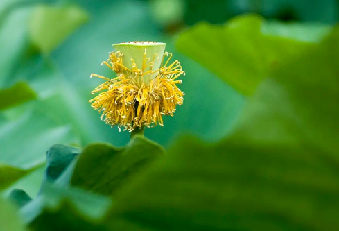 1757586870279835.png image.png